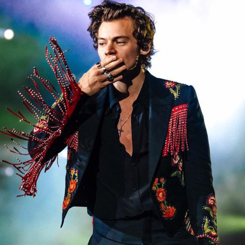 Harry Styles Age, Net Worth, Height, Facts