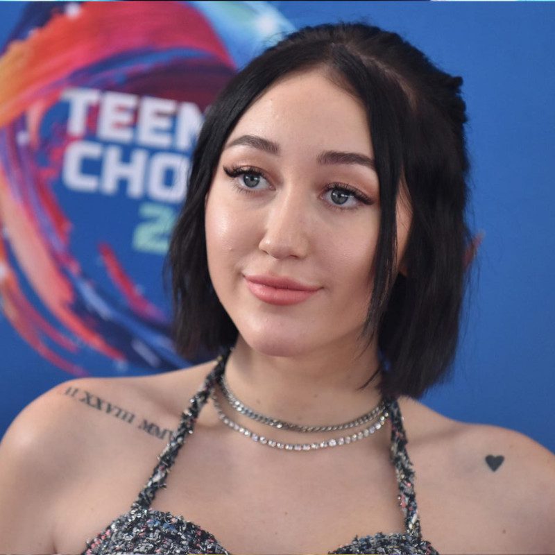 Noah Cyrus Age, Net Worth, Height, Facts
